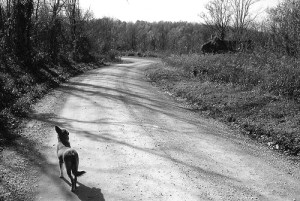 In a Sentimental Mood Pic